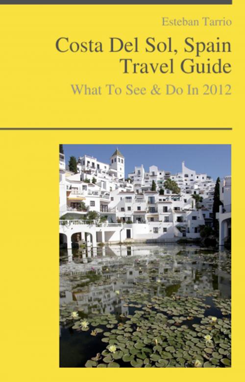 Cover of the book Costa Del Sol, Spain Travel Guide - What To See & Do by Esteban Tarrio, KWL