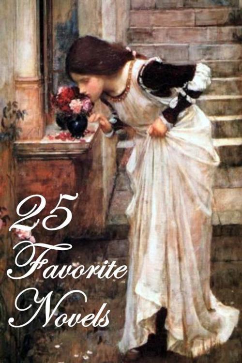 Cover of the book 25 Favorite Novels by Smashbooks, Smashbooks