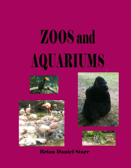 Cover of the book Zoos and Aquariums by Brian Starr, Starr Books