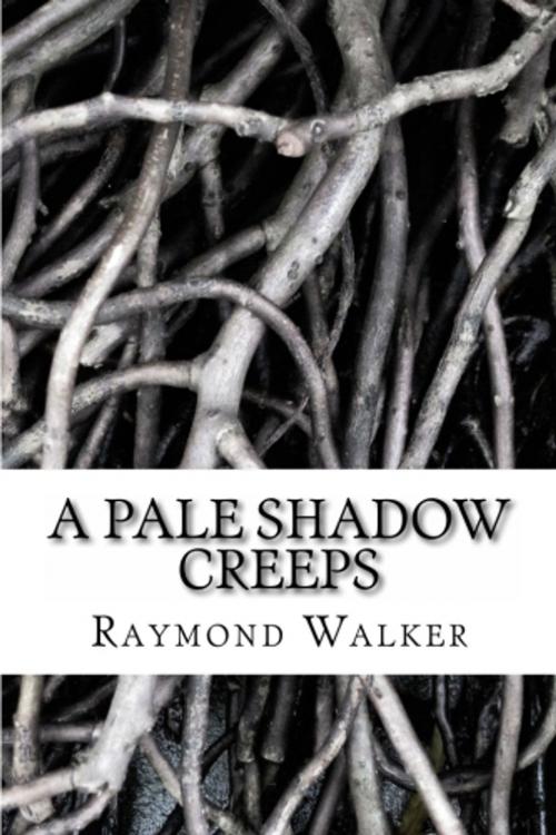 Cover of the book A Pale Shadow Creeps by Raymond Walker, www.createspace.com