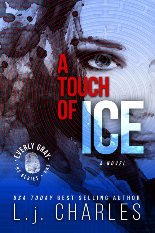 Cover of the book a Touch of Ice by L.j. Charles, Amentino Publishing