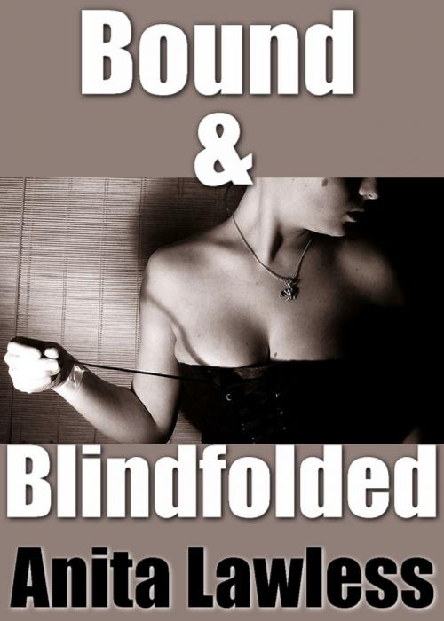 Cover of the book Bound & Blindfolded by Anita Lawless, Wild & Lawless Writers