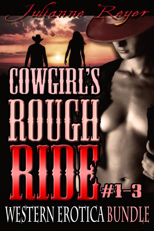 Cover of the book Cowgirl's Rough Ride: Western Erotica Bundle by Julianne Reyer, Quirky Nights Publishing
