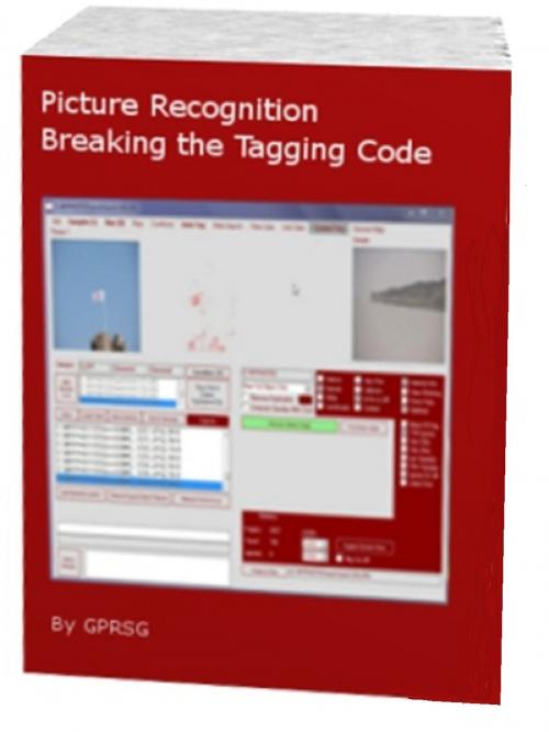Cover of the book Picture Recognition Breaking the Tagging Code by GPRSG, GPRSG