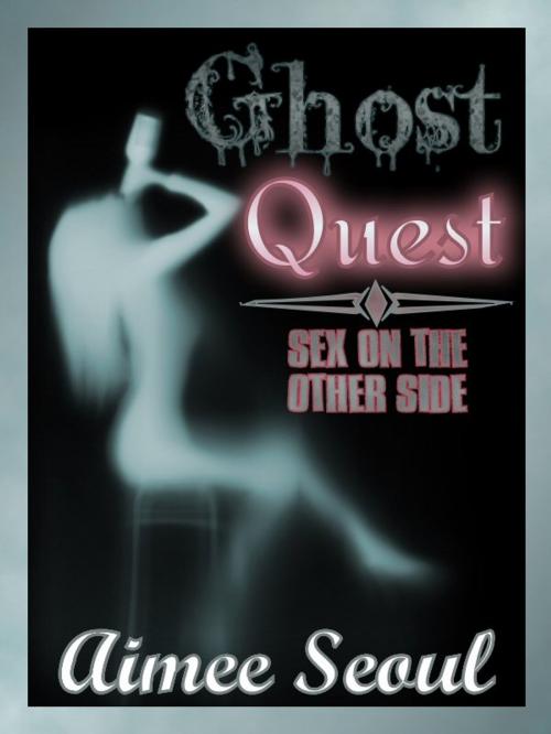 Cover of the book Ghost Quest by Aimee Seoul, Red Heels Press