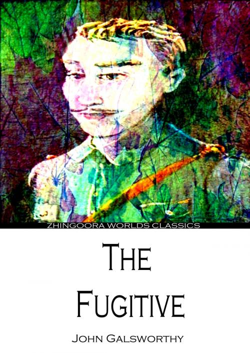 Cover of the book The Fugitive by John Galsworthy, Zhingoora Books