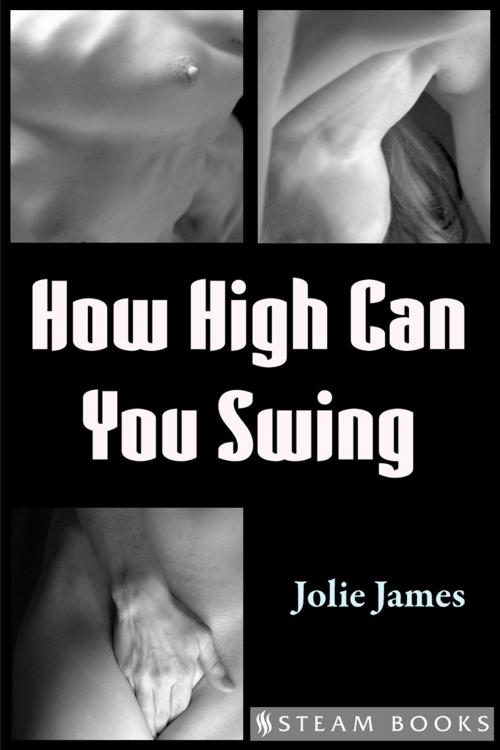 Cover of the book How High Can You Swing by Jolie James, Steam Books, Steam Books