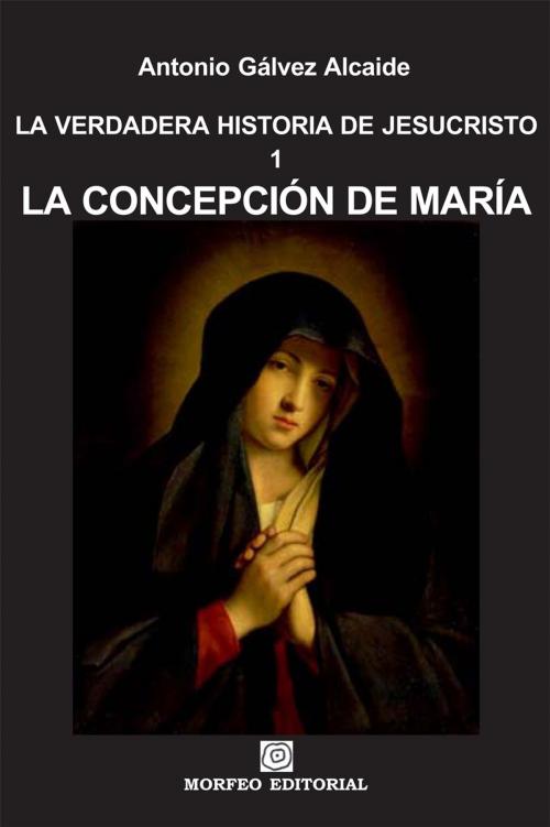 Cover of the book La concepción de María by Antonio Gálvez Alcaide, Author