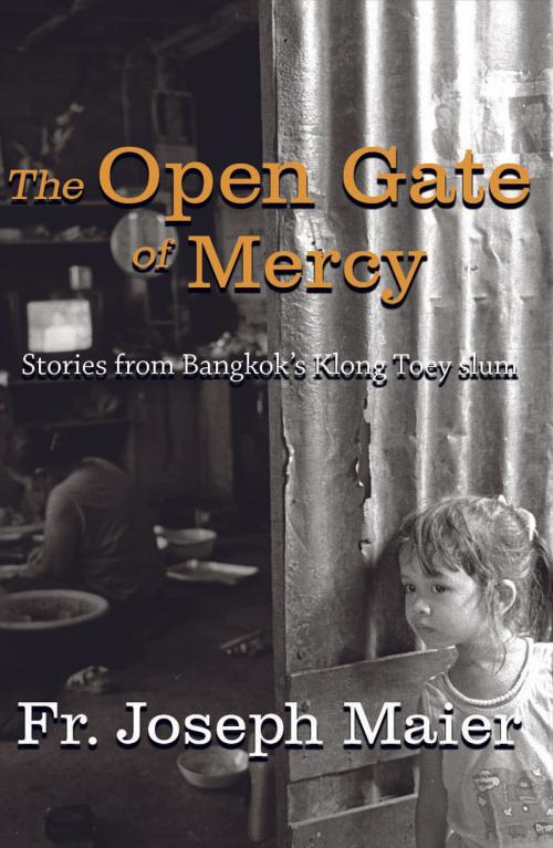 Cover of the book The Open Gate of Mercy by Fr. Joseph Maier, Heaven Lake Press