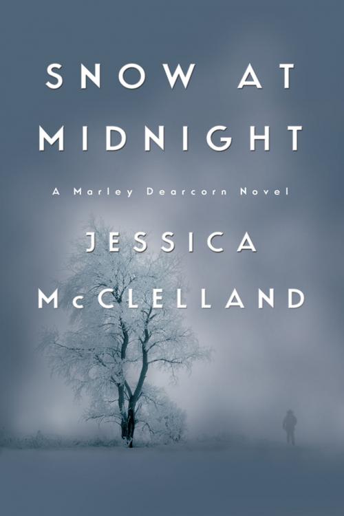 Cover of the book Snow At Midnight by Jessica McClelland, Cold River Studio