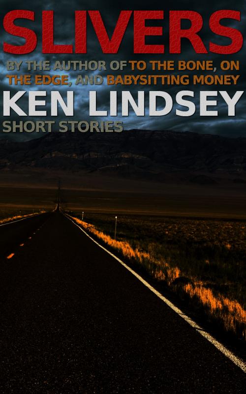 Cover of the book Slivers by Ken Lindsey, Ken Lindsey