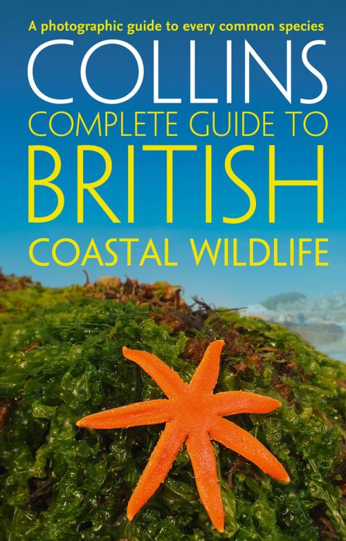 Cover of the book British Coastal Wildlife (Collins Complete Guides) by Paul Sterry, Andrew Cleave, HarperCollins Publishers