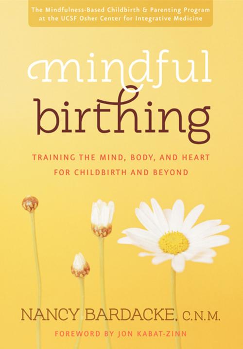 Cover of the book Mindful Birthing by Nancy Bardacke, HarperOne