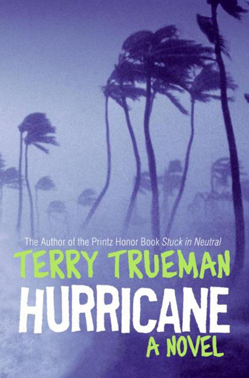 Cover of the book Hurricane by Terry Trueman, HarperCollins