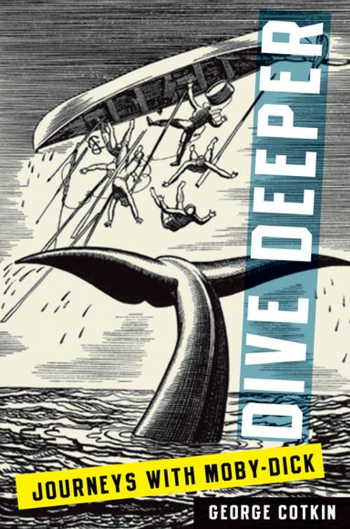 Cover of the book Dive Deeper:Journeys with Moby-Dick by George Cotkin, Oxford University Press, USA