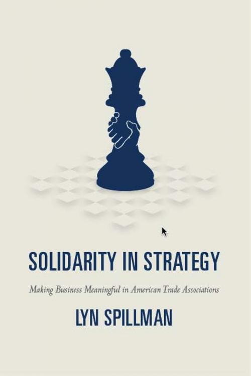 Cover of the book Solidarity in Strategy by Lyn Spillman, University of Chicago Press