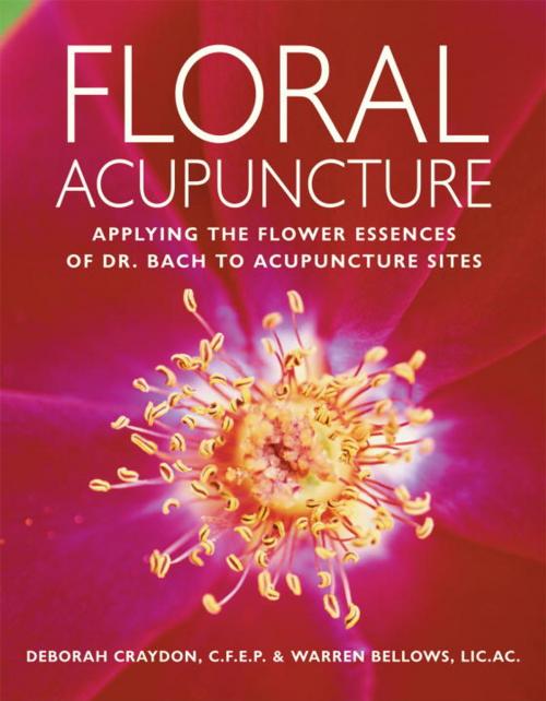 Cover of the book Floral Acupuncture by Warren Bellows, Warren Bellows, Potter/Ten Speed/Harmony/Rodale