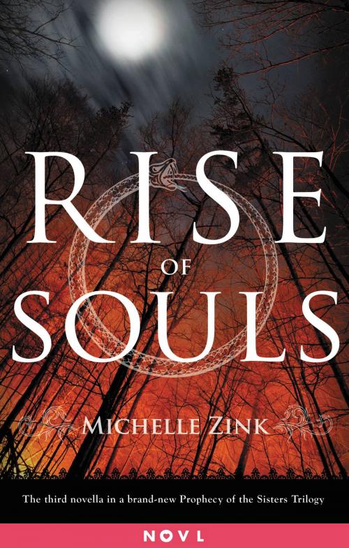 Cover of the book Rise of Souls by Michelle Zink, Little, Brown Books for Young Readers