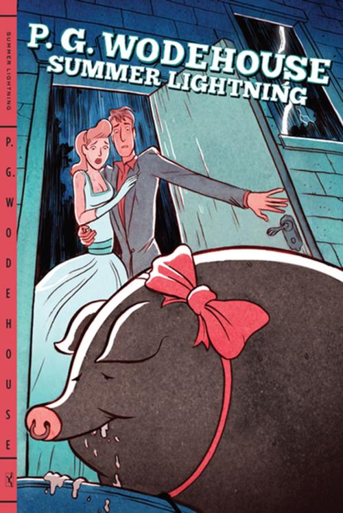 Cover of the book Summer Lightning by P. G. Wodehouse, W. W. Norton & Company