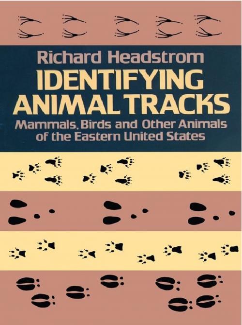 Cover of the book Identifying Animal Tracks by Richard Headstrom, Dover Publications