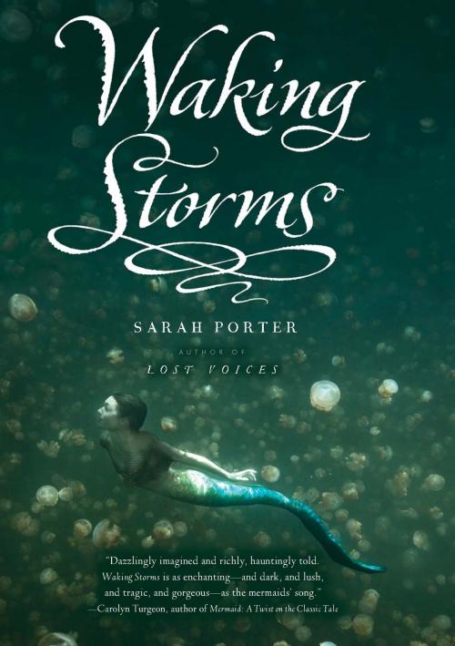 Cover of the book Waking Storms by Sarah Porter, HMH Books