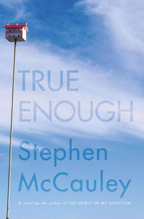 Cover of the book True Enough by Stephen McCauley, Simon & Schuster