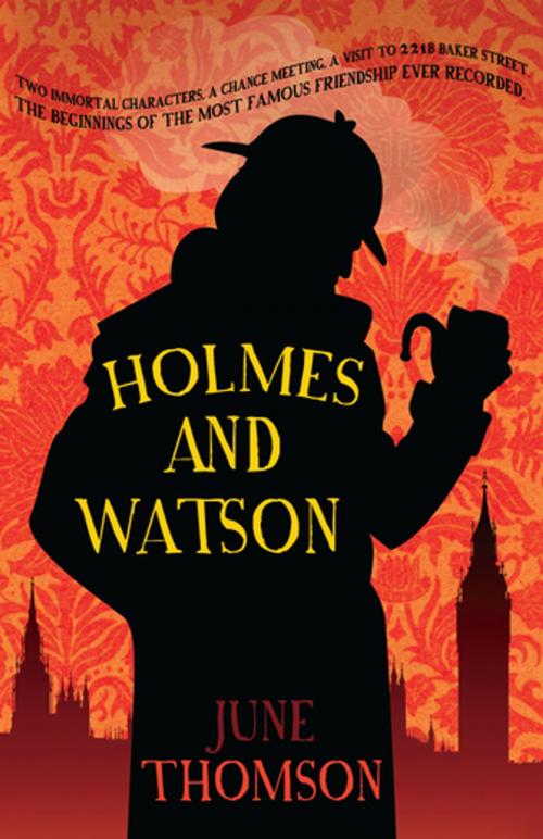 Cover of the book Holmes and Watson by June Thomson, Allison & Busby