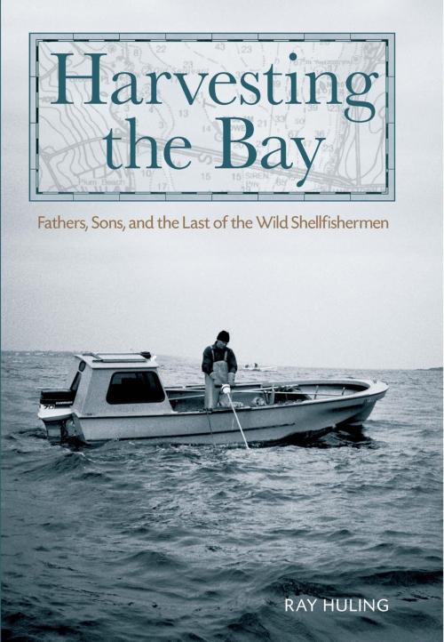 Cover of the book Harvesting the Bay by Ray Huling, Lyons Press