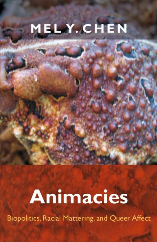 Cover of the book Animacies by Mel Y. Chen, Duke University Press