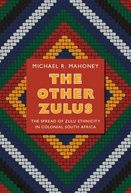 Cover of the book The Other Zulus by Michael R. Mahoney, Duke University Press