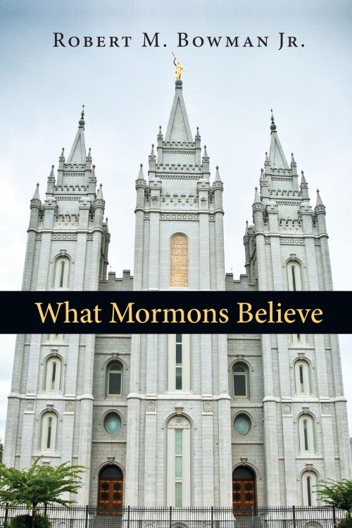Cover of the book What Mormons Believe by Robert M. Bowman Jr., IVP Books