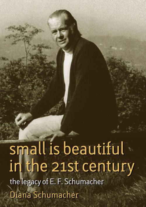 Cover of the book Small Is Beautiful in the 21st Century by Diana Schumacher, UIT Cambridge Ltd.