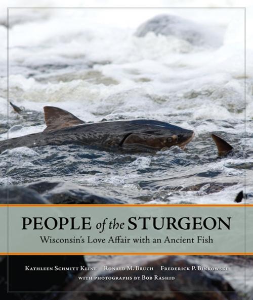 Cover of the book People of the Sturgeon by Kathleen Schmitt Kline, Ronald M. Bruch, Frederick P. Binkowski, Wisconsin Historical Society Press
