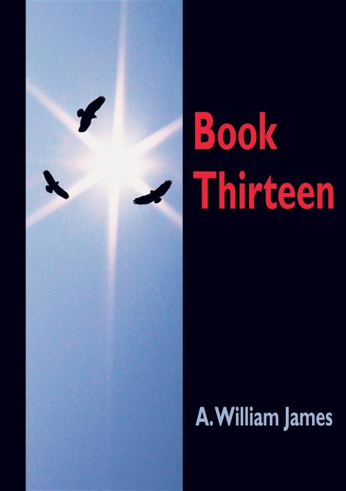 Cover of the book Book Thirteen by A. William James, Lepus Books