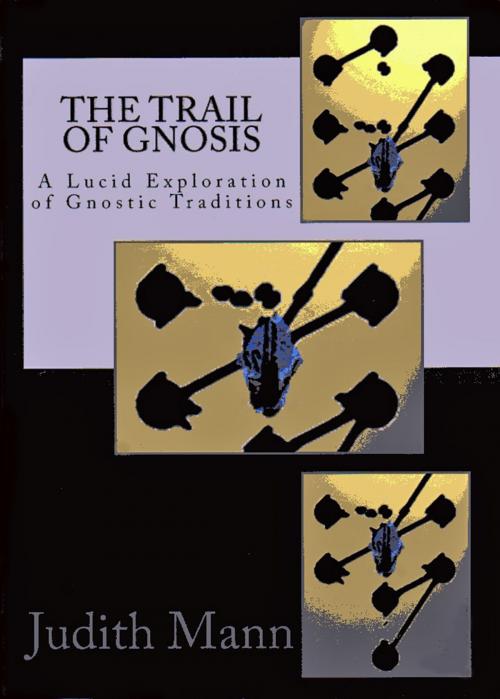 Cover of the book The Trail of Gnosis: A Lucid Exploration of Gnostic Traditions by Judith Mann, Judith Mann