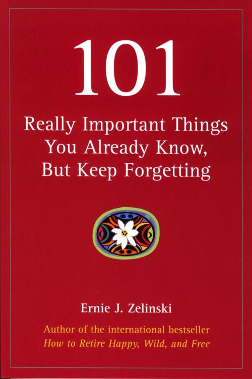 Cover of the book 101 Really Important Things You Already Know, But Keep Forgetting by Ernie J. Zelinski, Visions International  Publishing