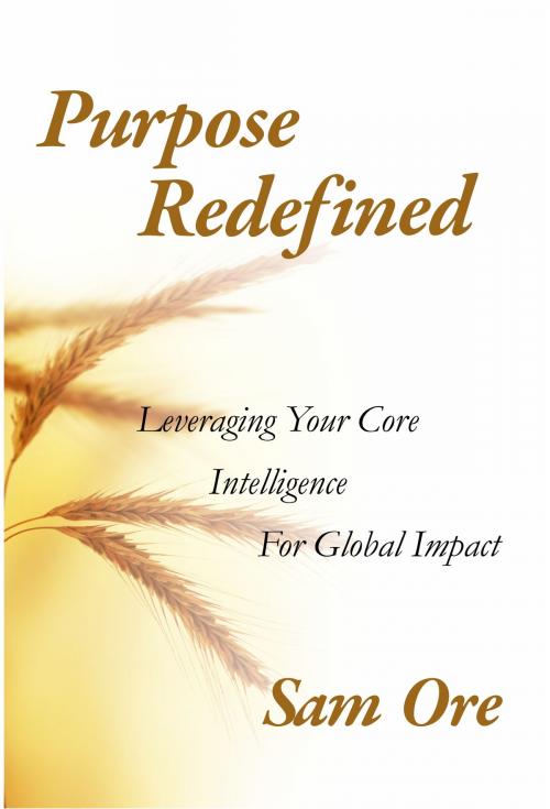 Cover of the book Purpose Redefined by Sam Ore, GodKulture