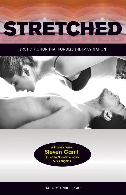 Cover of the book Stretched - Erotic Fiction that Fondles the Imagination by Tinder James, Rubicund Publishing LLC