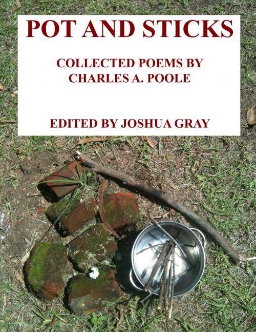 Cover of the book Pot And Sticks by Joshua Gray, Joshua Gray