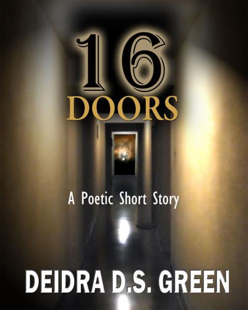 Cover of the book 16 Doors by Deidra D. S. Green, Rathsi Publishing