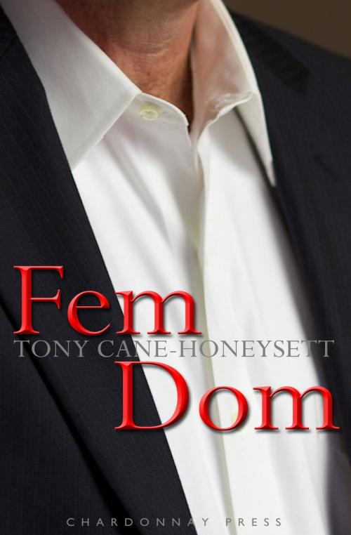 Cover of the book Fem Dom by Tony Cane-Honeysett, CHARDONNAY PRESS