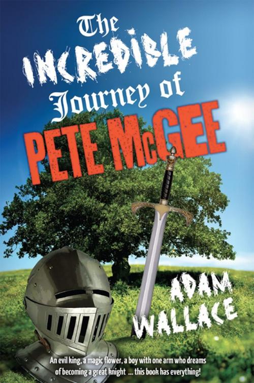 Cover of the book The Incredible Journey of Pete McGee by Adam Wallace, Woodslane Press