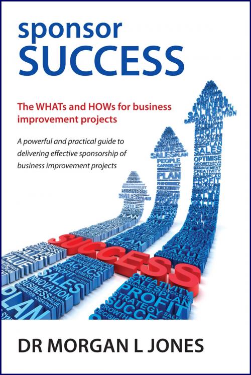 Cover of the book sponsor SUCCESS - The WHATs and HOWs for business improvement projects by Mr Morgan L Jones, BookPOD
