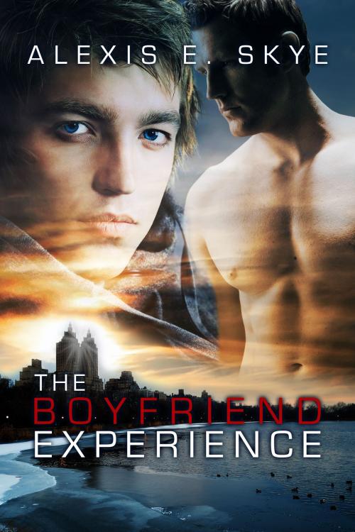 Cover of the book The Boyfriend Experience by Alexis E. Skye, Caffeinated Owl Press