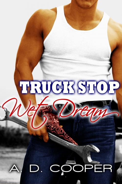 Cover of the book Truck Stop Wet Dream by A. D. Cooper, Caffeinated Owl Press