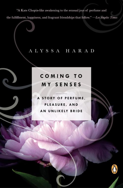 Cover of the book Coming to My Senses by Alyssa Harad, Penguin Publishing Group