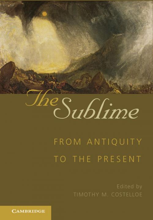 Cover of the book The Sublime by , Cambridge University Press