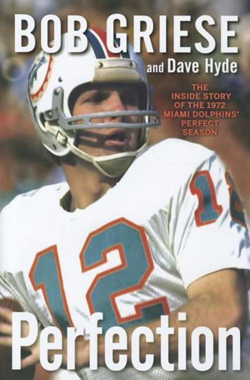 Cover of the book Perfection by Bob Griese, Dave Hyde, Turner Publishing Company