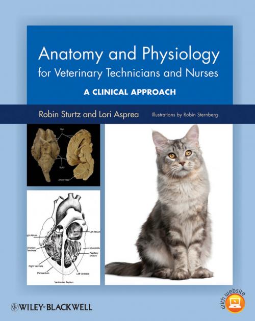 Cover of the book Anatomy and Physiology for Veterinary Technicians and Nurses by Robin Sturtz, Lori Asprea, Wiley