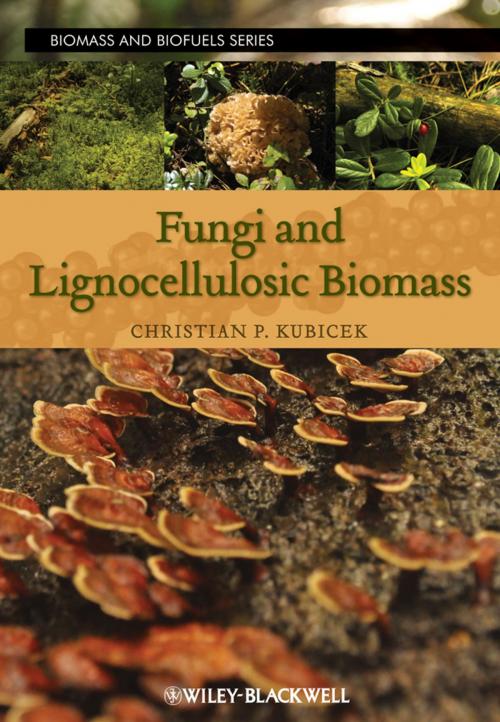 Cover of the book Fungi and Lignocellulosic Biomass by , Wiley